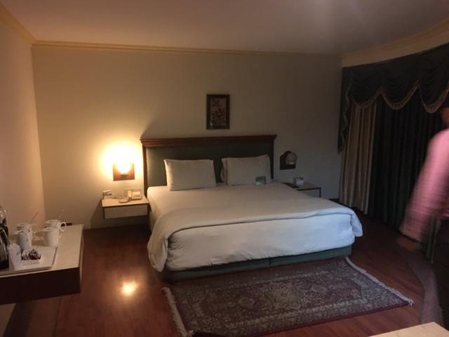 Shiva Oasis Resort Neemrana Room photo